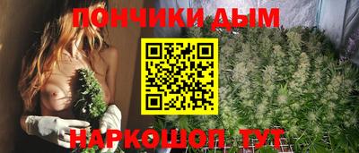 дживик Сланцы