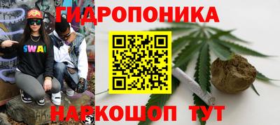 дживик Сланцы